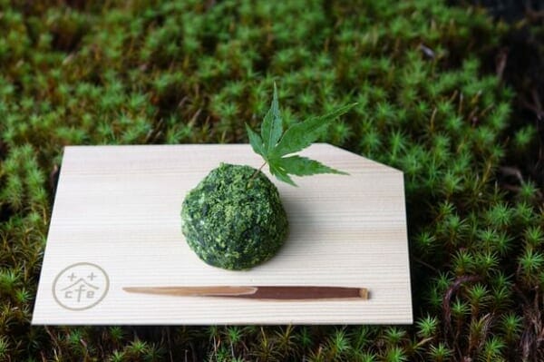 珈琲×茶の「食べられる苔玉」？が京都の和モダンカフェで特別価格で提供